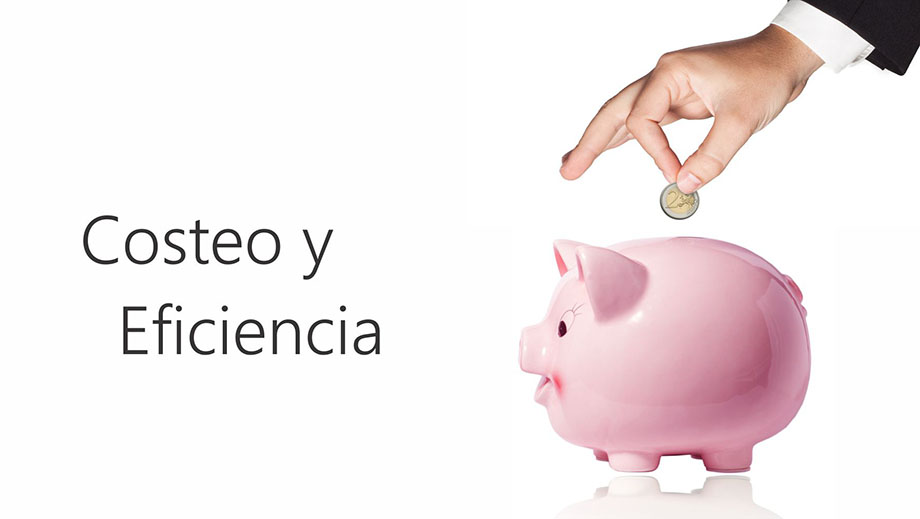 sistemaelvis.com