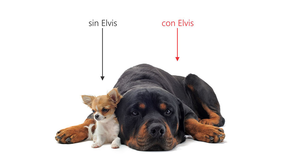sistemaelvis.com